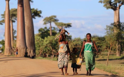 La Fondation Impala Avenir soutient des actions en France et à l’international