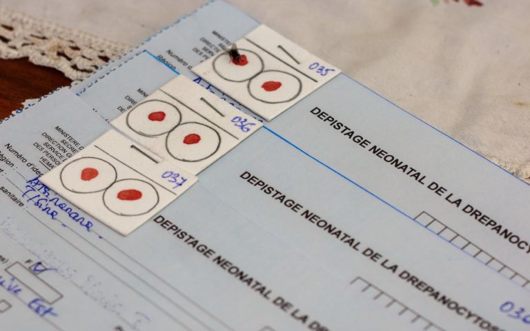 Projet Probitas – ONG LCDM