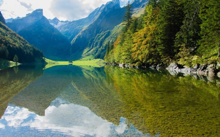 « Environnement » – Appels à projets