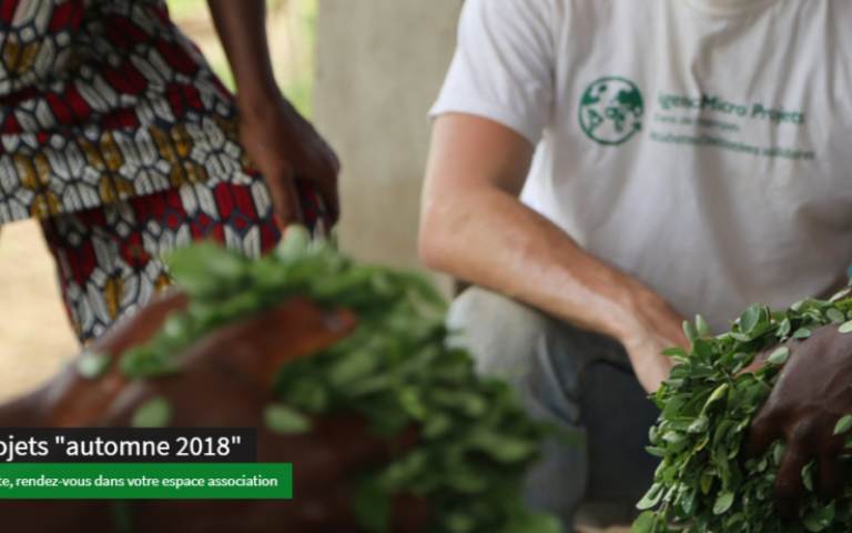 Appels à projets de l’été 2018